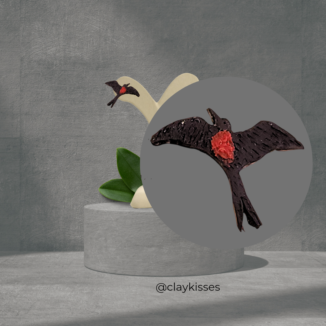 Frigate bird